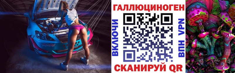 Псилоцибиновые грибы Psilocybe  Байкальск 